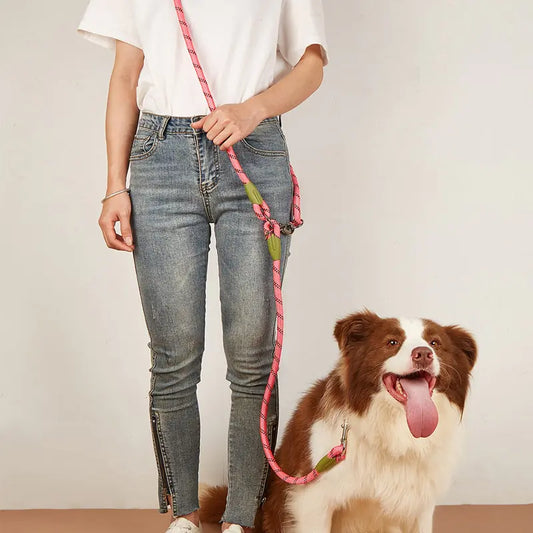 Reflective Nylon Long Dog Leashes