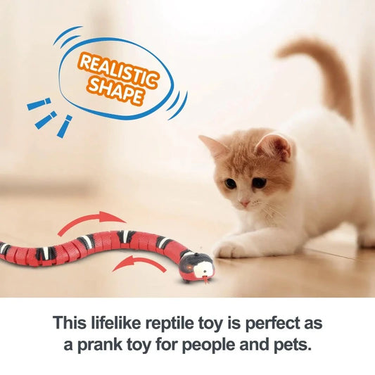 Interactive Snake Cat Teasing Toy